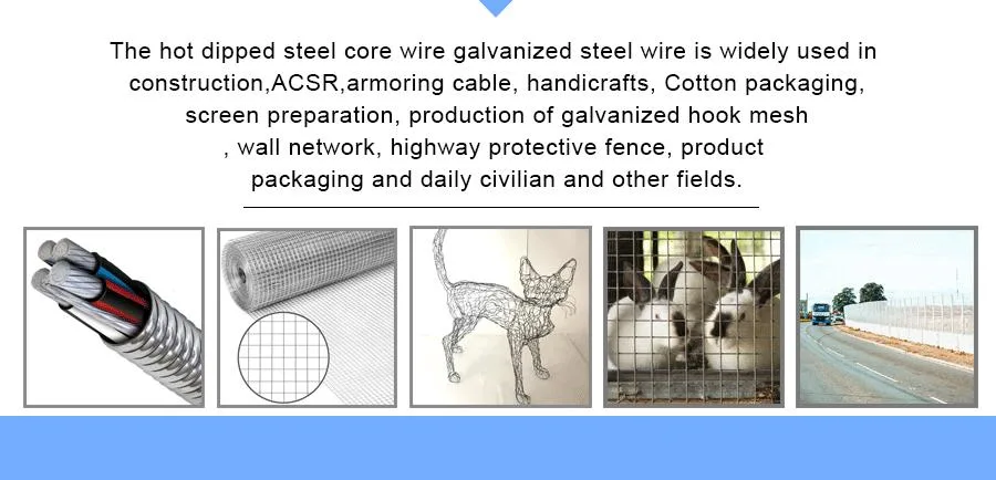 High Carbon Galvanized Spring Steel Wire