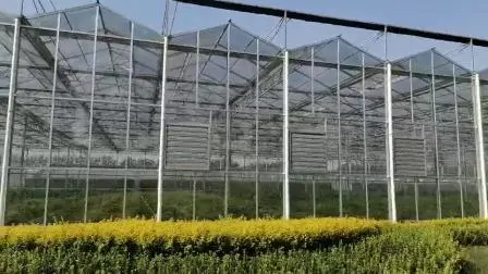 Günstiger kommerzieller Multi-Span/Single-Span-Tunnel, Kunststofffolie, Glas, Polycarbonat, Landwirtschafts-Gewächshaus mit Saatbett-Hydrokultur für Tomaten-Erdbeere