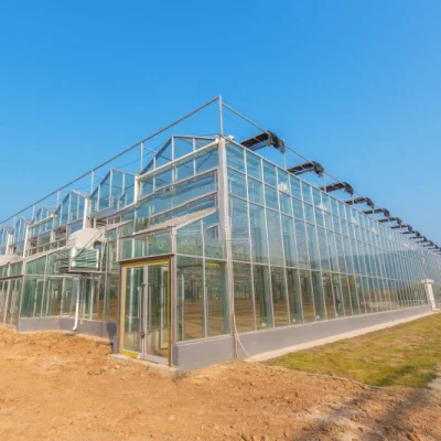 Glas-/Mehrfeld-Gewächshaus mit Bewässerungs-Hydrokultursystem für Erdbeeren/Gemüse/Blumen/Tomaten/Paprika